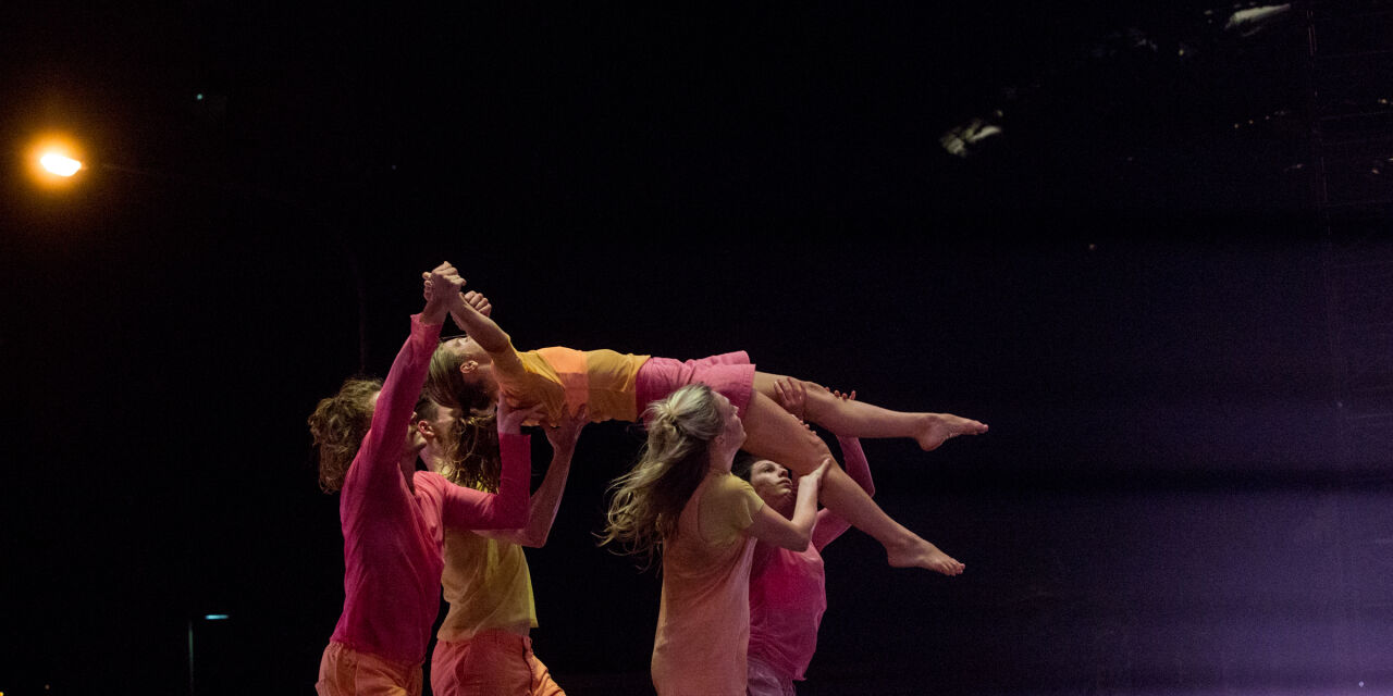 Surge | Dancenorth