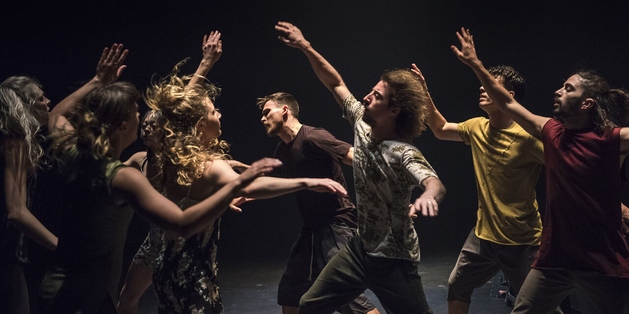 Attractor | Dancenorth